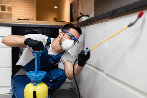 Best Best Pest Control Companies  in Craig, AK